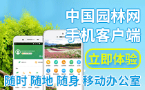 中国新2网址新2备用网会员登录APP