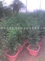 新2网址新2备用网会员登录