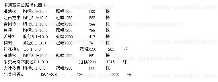 求购湿地松、江南桤木、青冈栎等