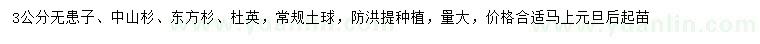 求购无威廉希尔和立博分析心得、中山杉、东方杉等