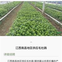 新2会员登录网址体育真人