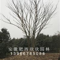 新2会员登录网址体育真人