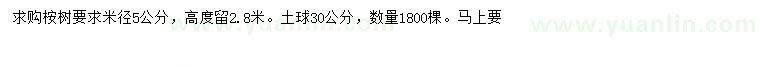 求购米径5一号棋牌怎么样知乎，桉树