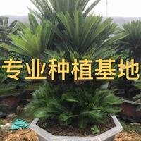 新2会员登录网址网页版