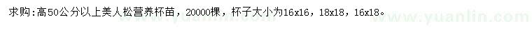 求购高50易博国际安全吗以上美人松