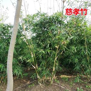 新2会员登录网址