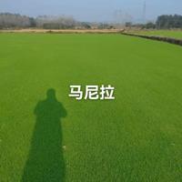 新2会员登录网址官方入口