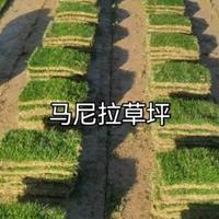 新2网址新2备用网会员登录app下载中心