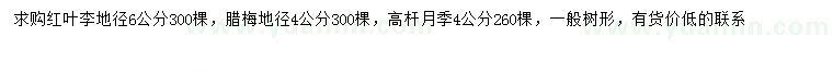 求购红叶李、腊梅、高杆月季