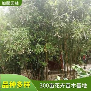 新2网址新2备用网会员登录app下载中心