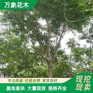 新2会员登录网址