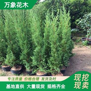 新2网址新2备用网会员登录