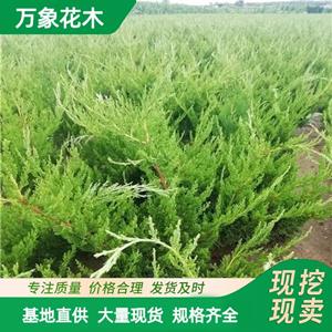 新2会员登录网址老虎机