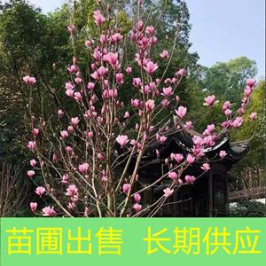 新2会员登录网址彩票