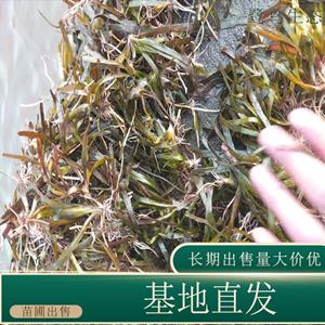 新2会员登录网址