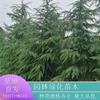 新2会员登录网址