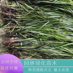 新2网址新2备用网会员登录注册网站