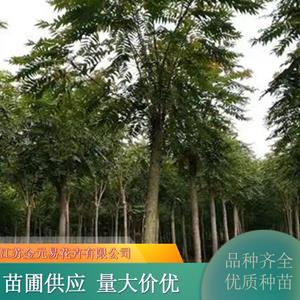 新2网址新2备用网会员登录官网平台