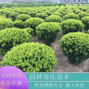 新2会员登录网址老虎机