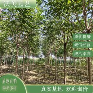 新2会员登录网址彩票