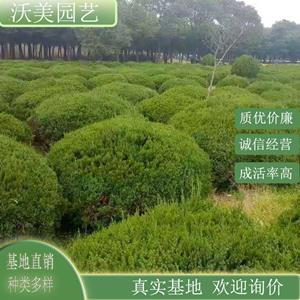 新2会员登录网址体育真人