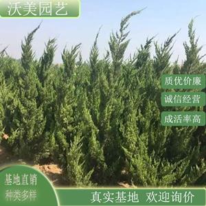 新2网址新2备用网会员登录