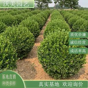 新2网址新2备用网会员登录官网平台