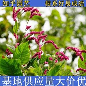 新2网址新2备用网会员登录app下载中心