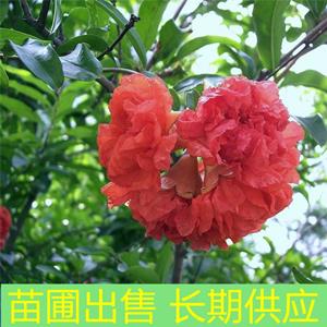 新2会员登录网址彩票