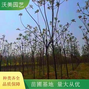 新2会员登录网址体育真人