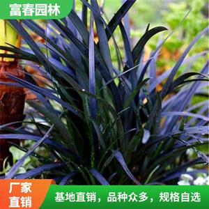 新2网址新2备用网会员登录注册网站