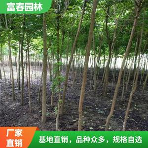 新2网址新2备用网会员登录注册网站