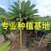 新2网址新2备用网会员登录注册网站